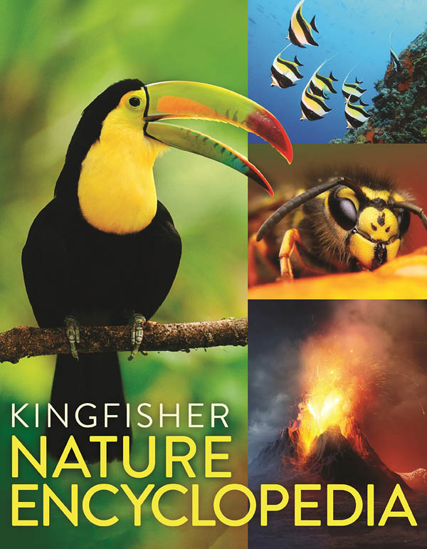 the kingfisher nature encyclopedia - Ảnh 2
