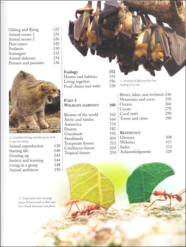 the kingfisher nature encyclopedia - Ảnh 4