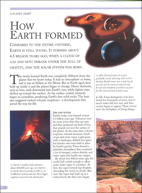 the kingfisher nature encyclopedia - Ảnh 7