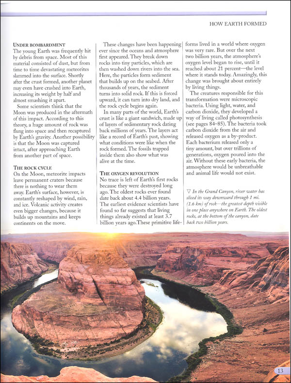 the kingfisher nature encyclopedia - Ảnh 8