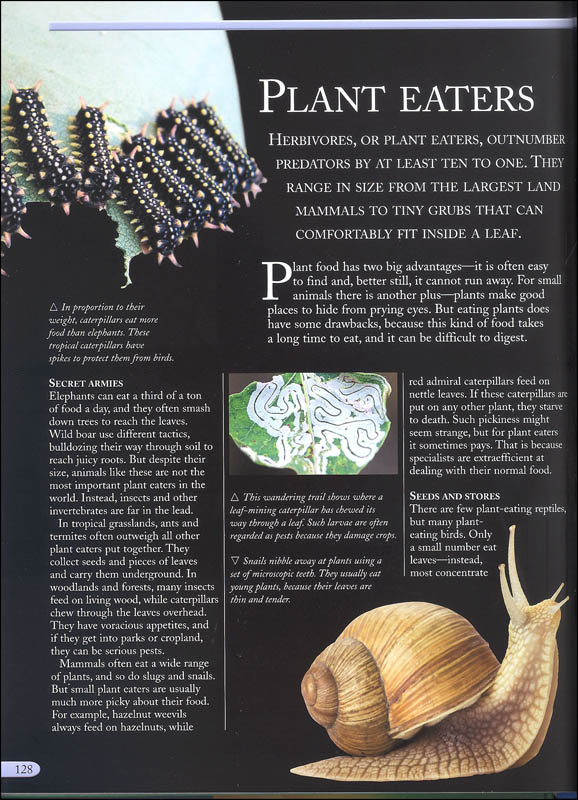 the kingfisher nature encyclopedia - Ảnh 9