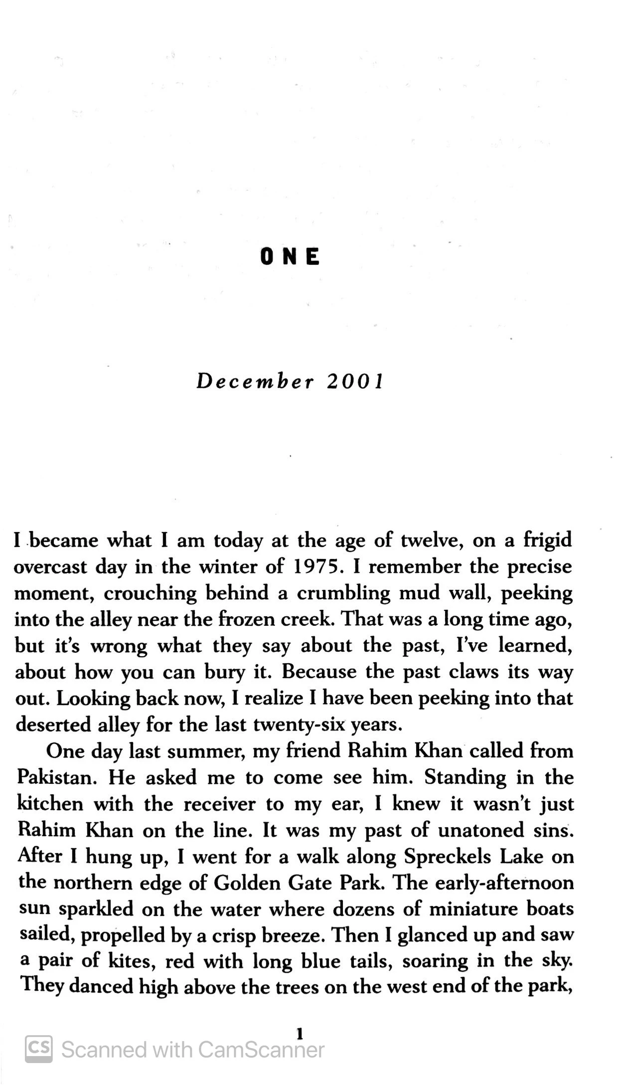 the kite runner - Ảnh 3