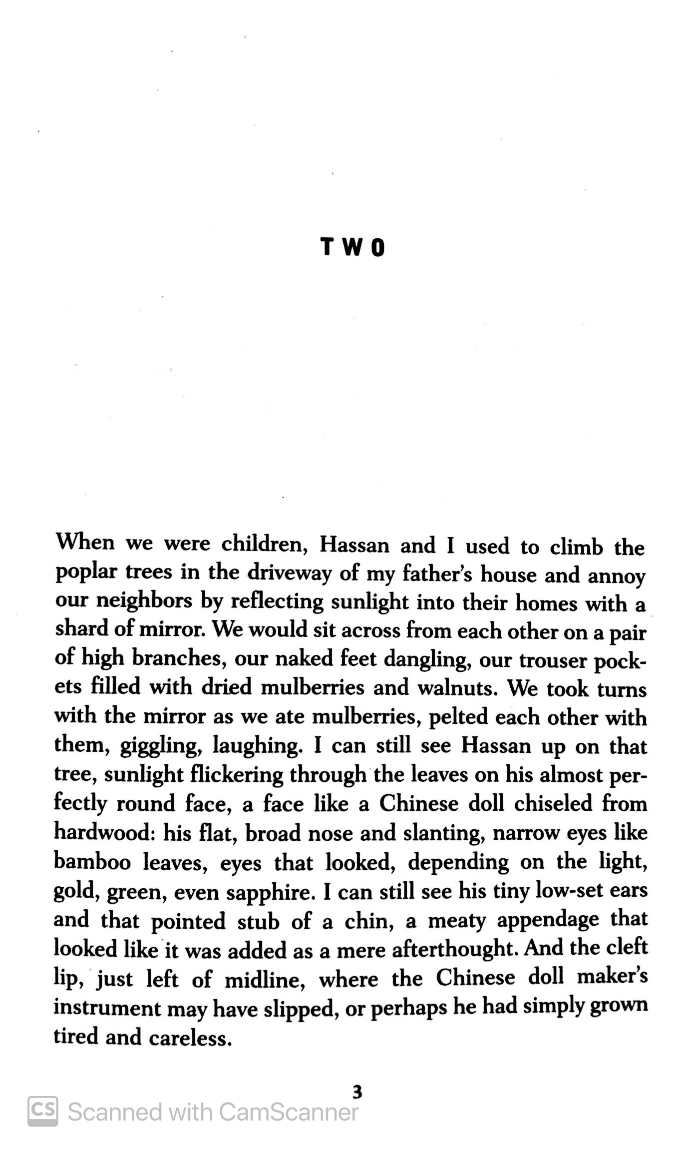 the kite runner - Ảnh 5