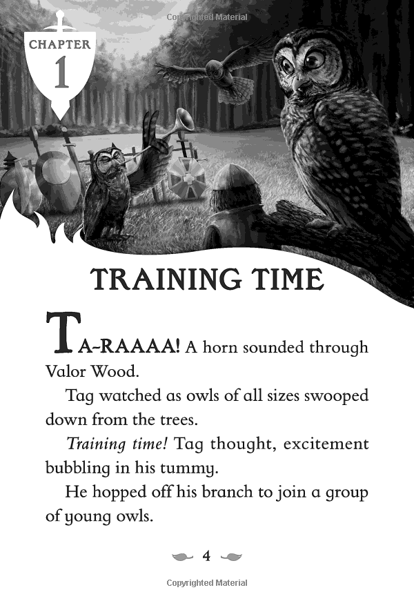 the last firehawk #1: the ember stone - Ảnh 6