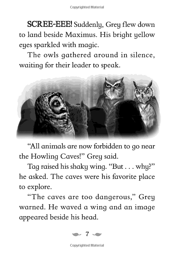 the last firehawk #1: the ember stone - Ảnh 9