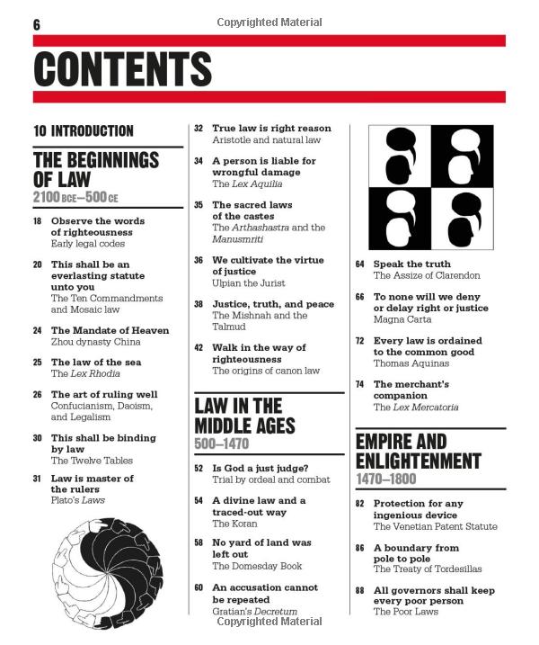 the law book: big ideas simply explained - Ảnh 7