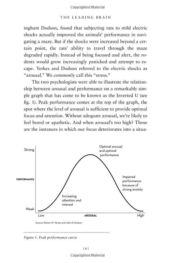 the leading brain - Ảnh 11