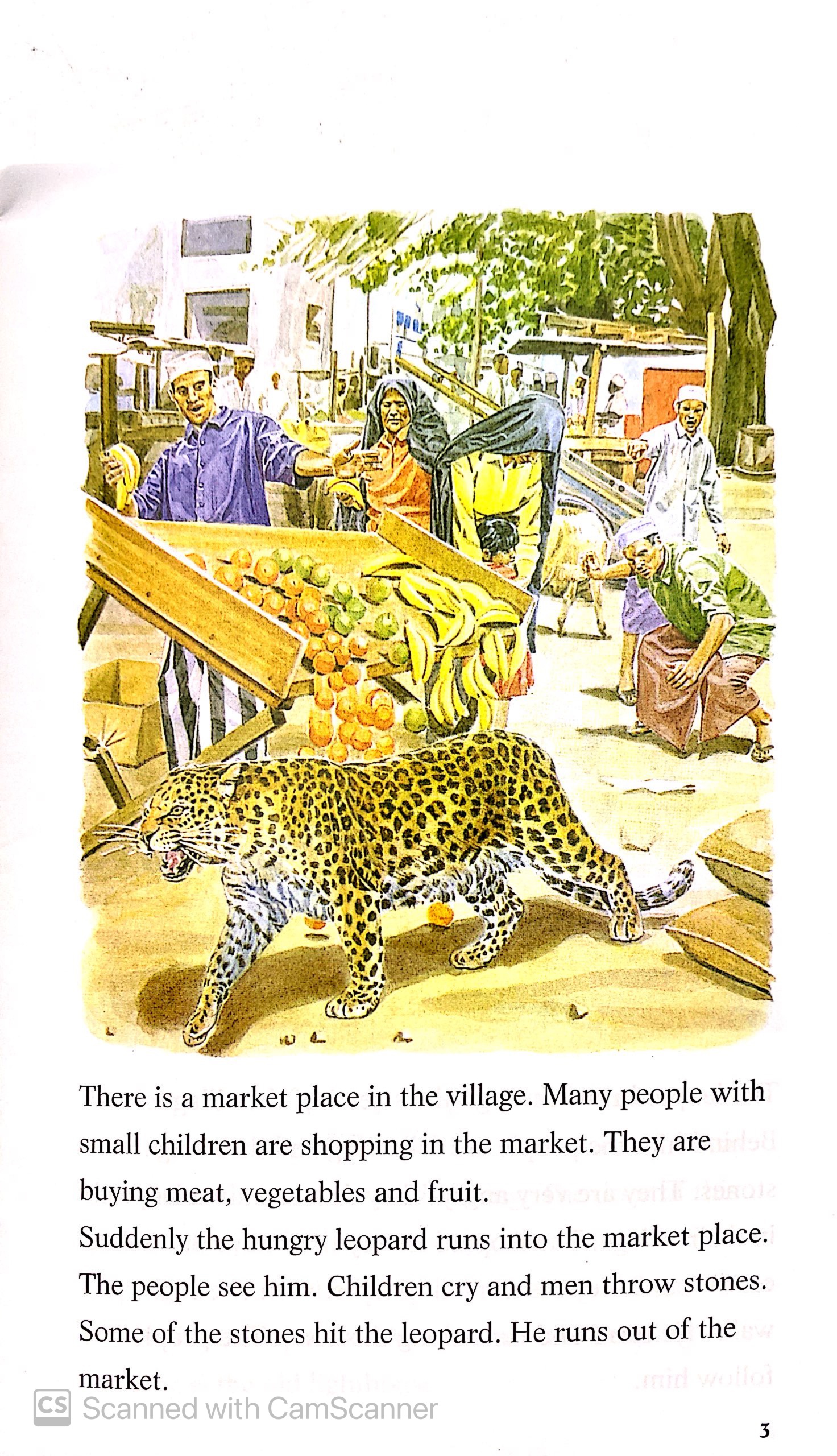 the leopard and the lighthouse: easystarts - Ảnh 5