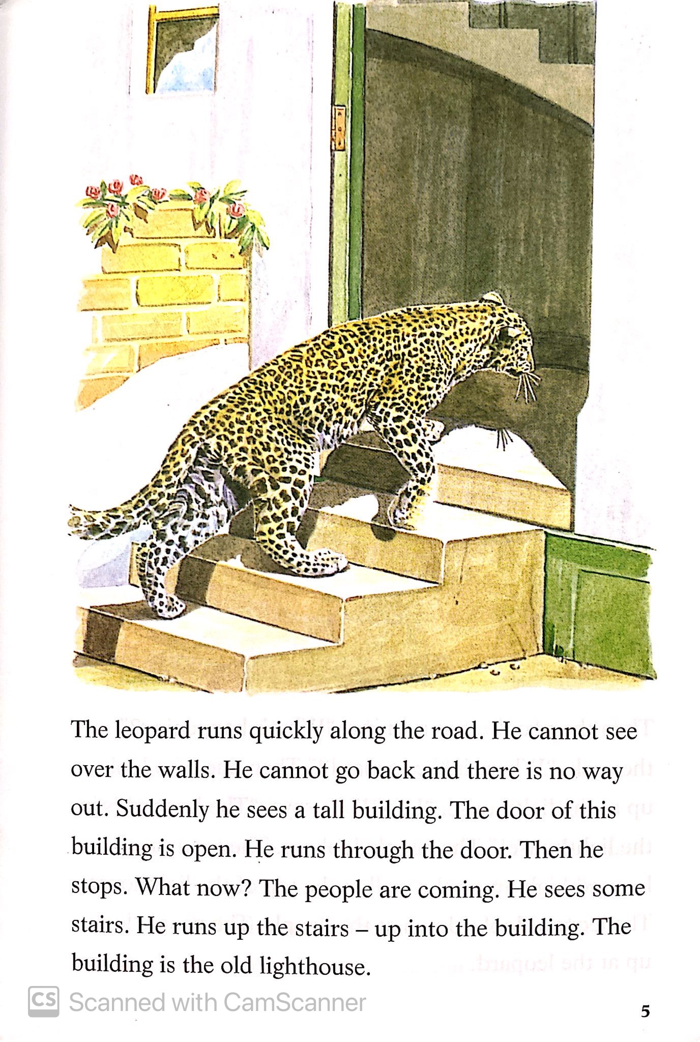 the leopard and the lighthouse: easystarts - Ảnh 7