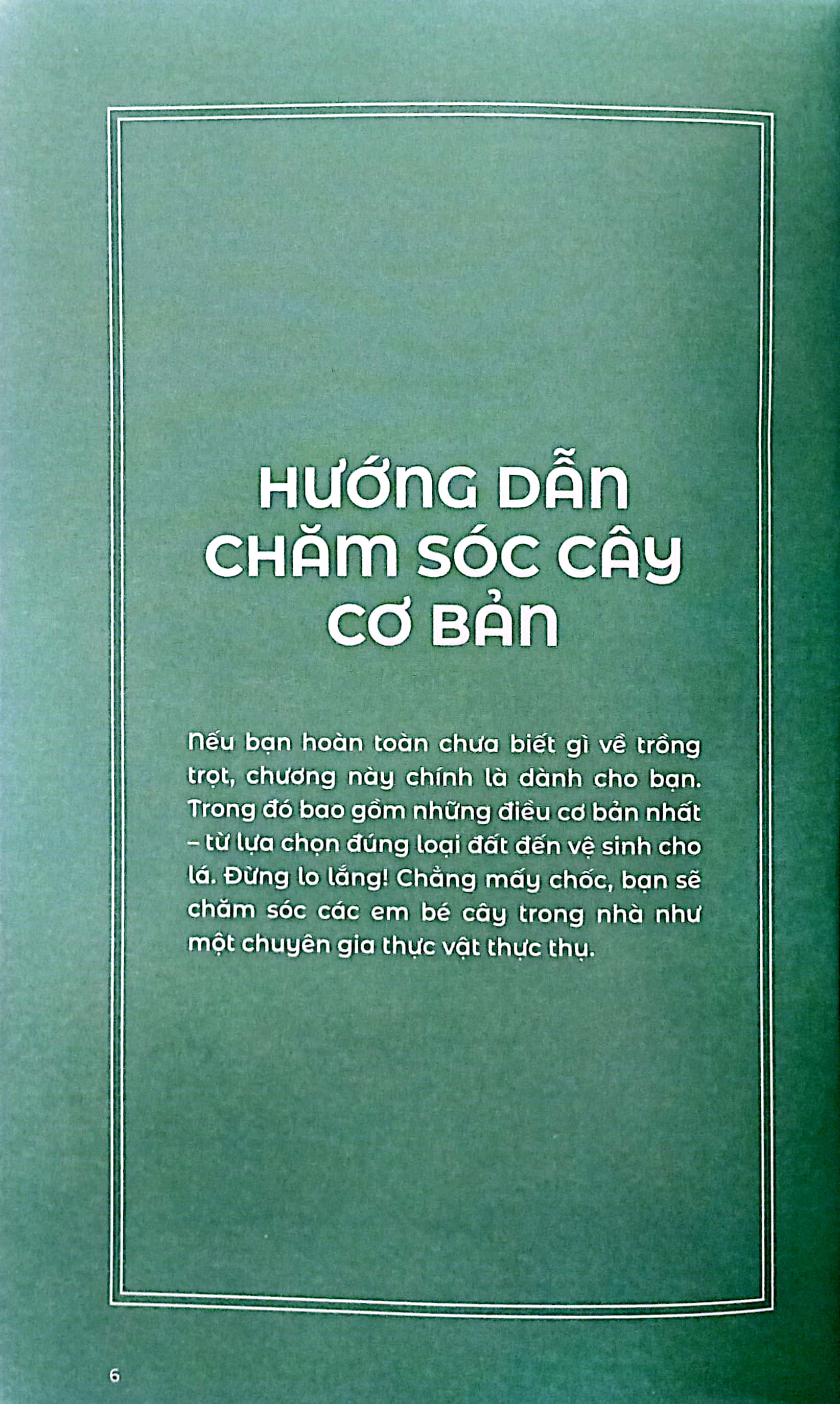 the little book for plant parents - bí mật nhỏ cho người yêu cây - Ảnh 4