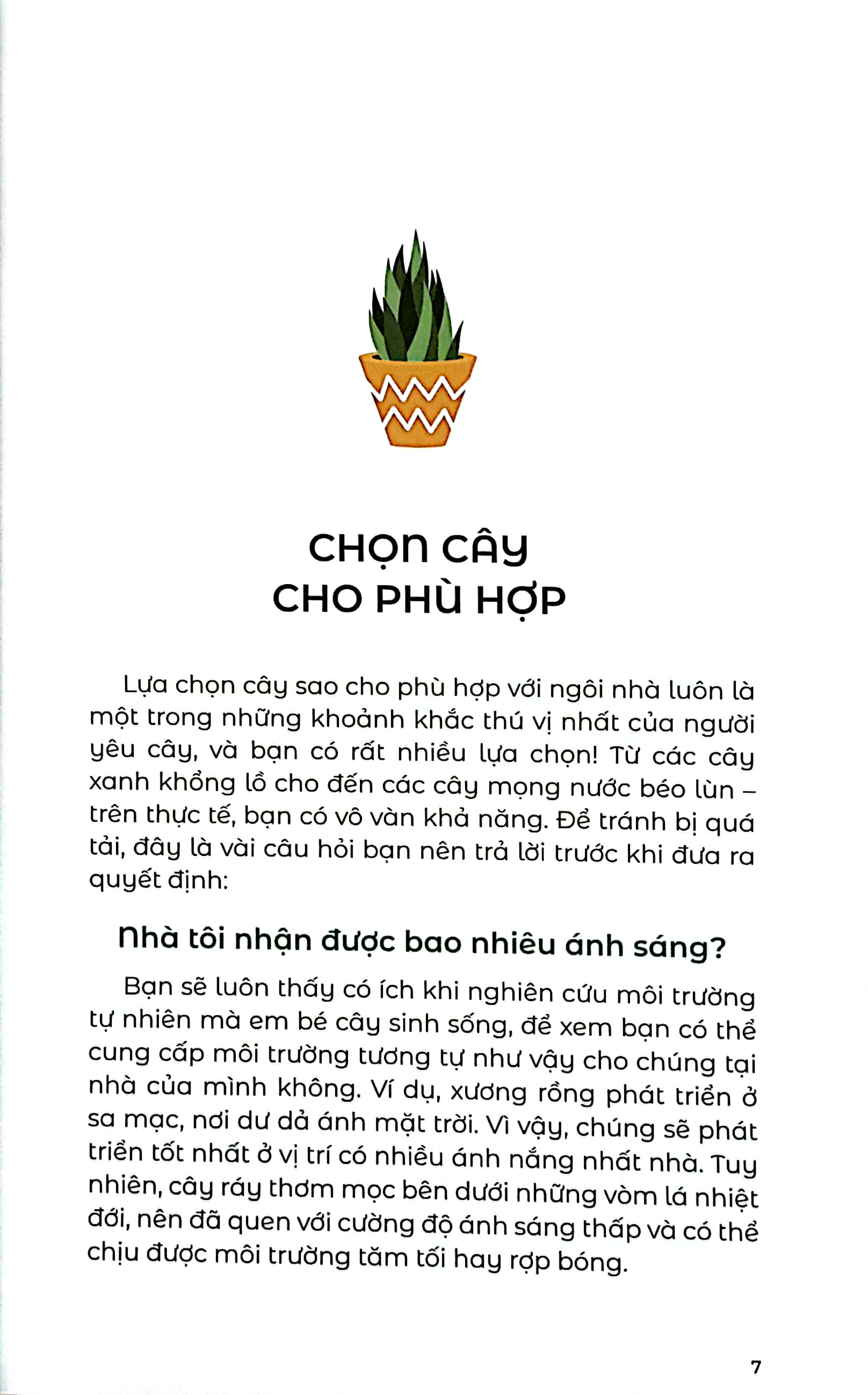 the little book for plant parents - bí mật nhỏ cho người yêu cây - Ảnh 5
