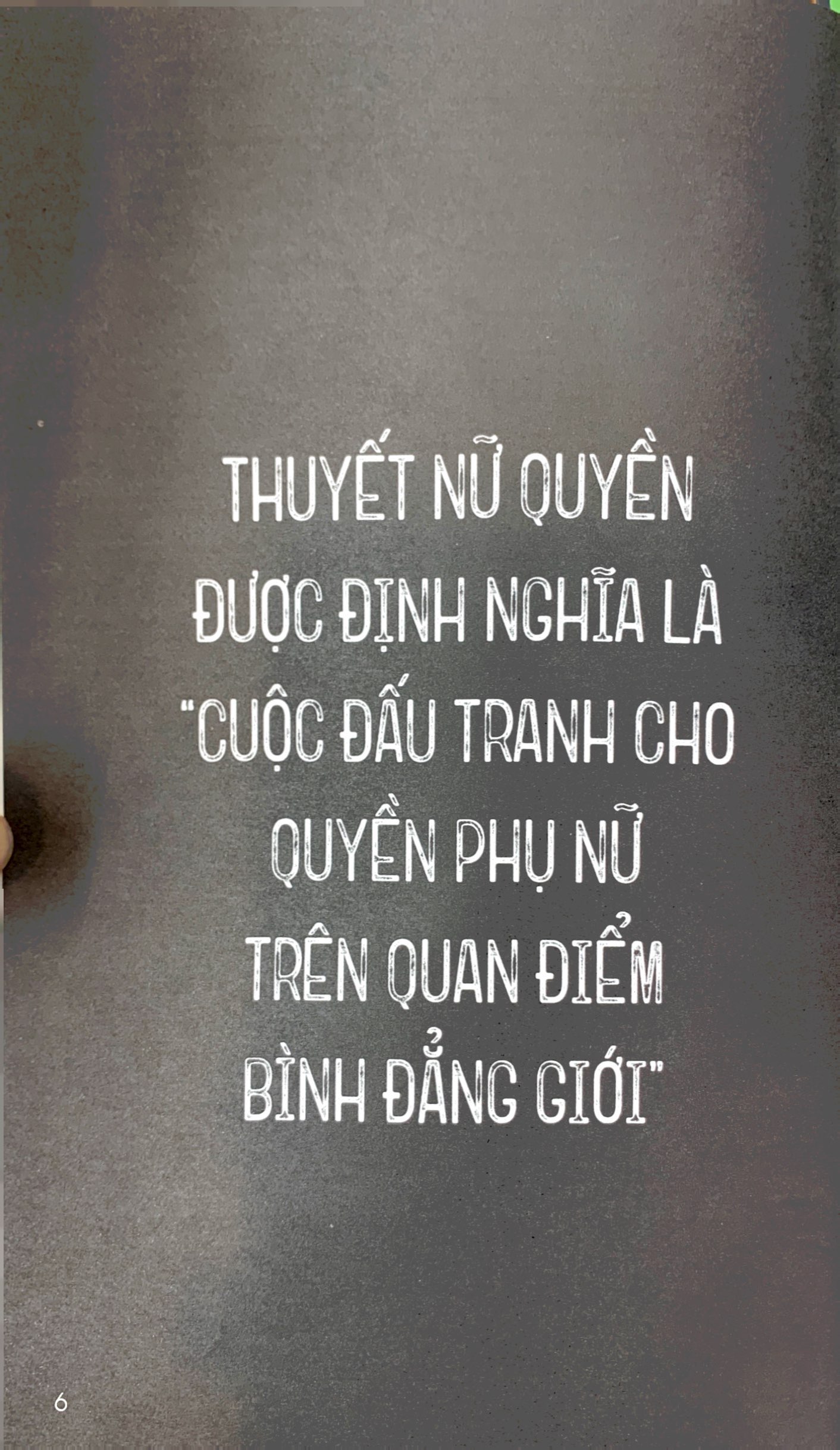 the little book of femnism - thuyết nữ quyền - Ảnh 4