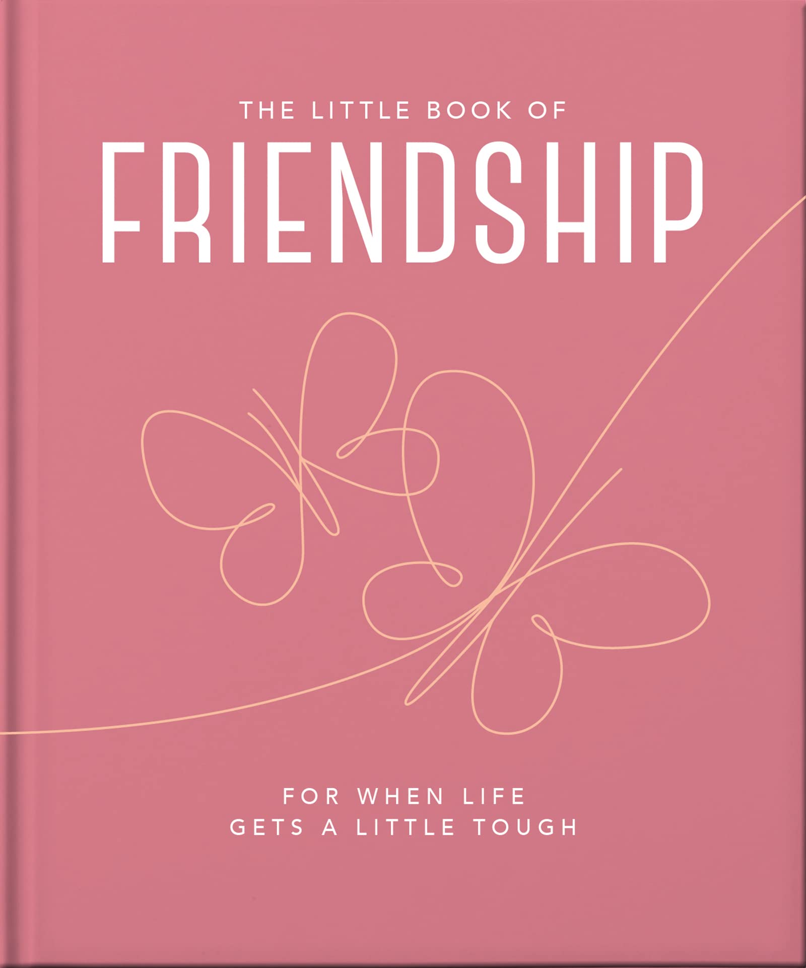 the little book of friendship: for when life gets a little tough - Ảnh 2