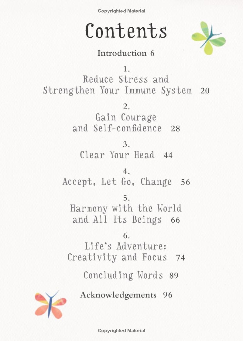 The Little Book Of Meditation - Ảnh 3