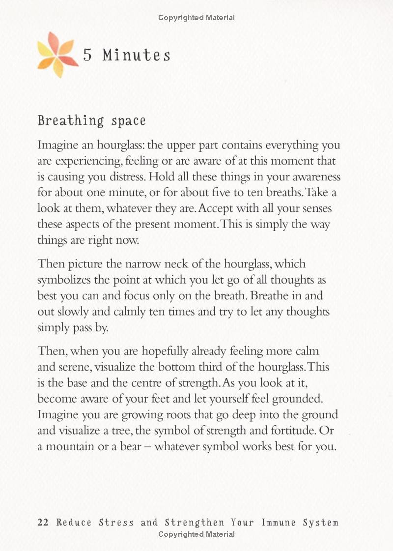 The Little Book Of Meditation - Ảnh 6