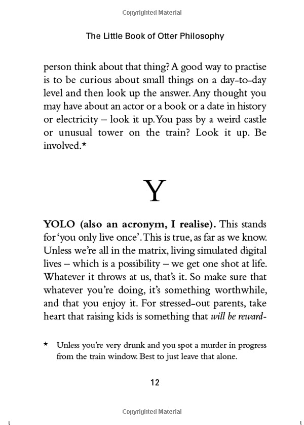 the little book of otter philosophy (the little animal philosophy books) - Ảnh 16