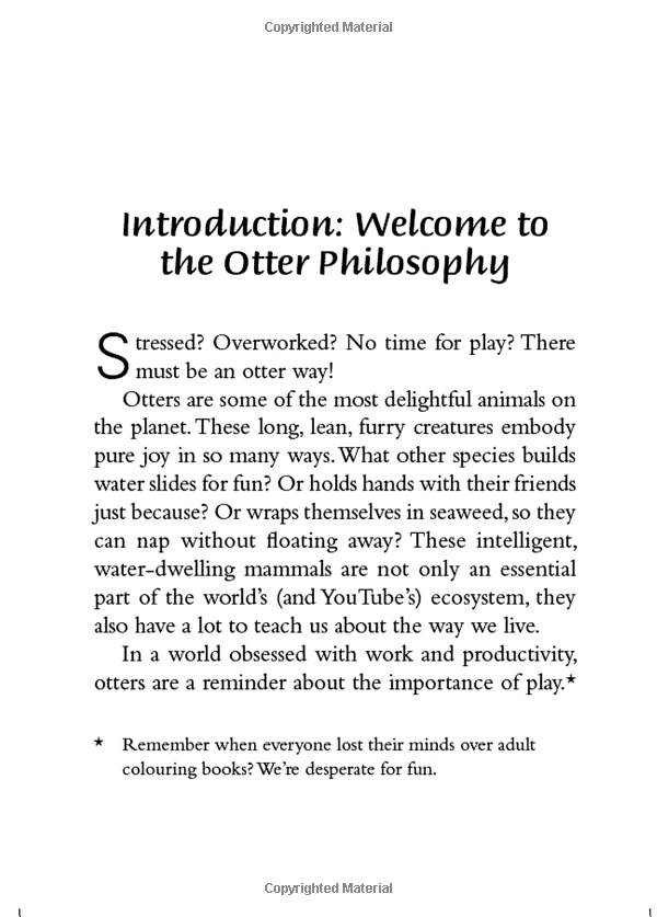 the little book of otter philosophy (the little animal philosophy books) - Ảnh 7