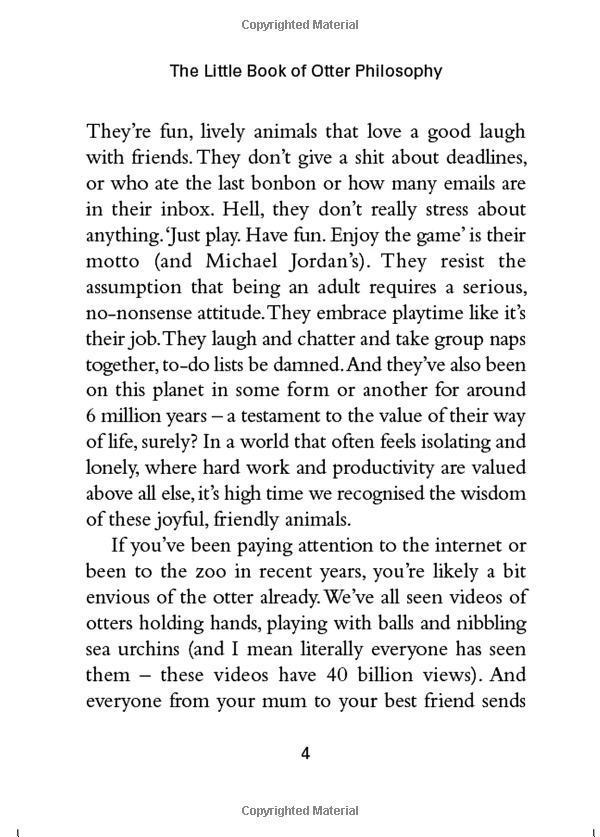 the little book of otter philosophy (the little animal philosophy books) - Ảnh 8