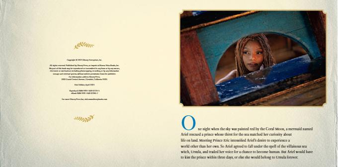 the little mermaid: adventures on land - Ảnh 4