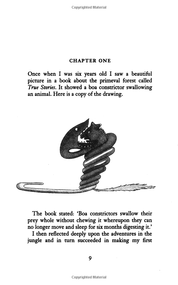 the little prince - Ảnh 4