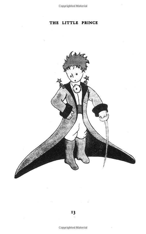 the little prince - Ảnh 8