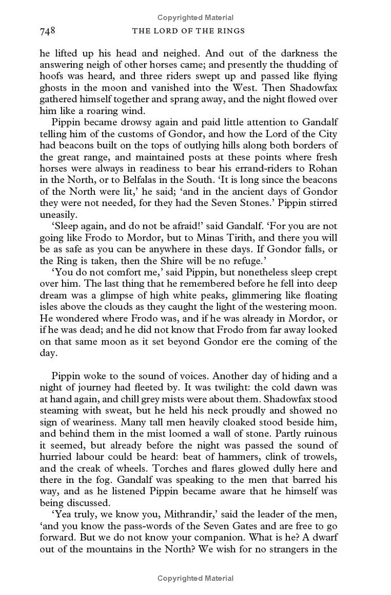 the lord of the rings: the return of the king - Ảnh 11