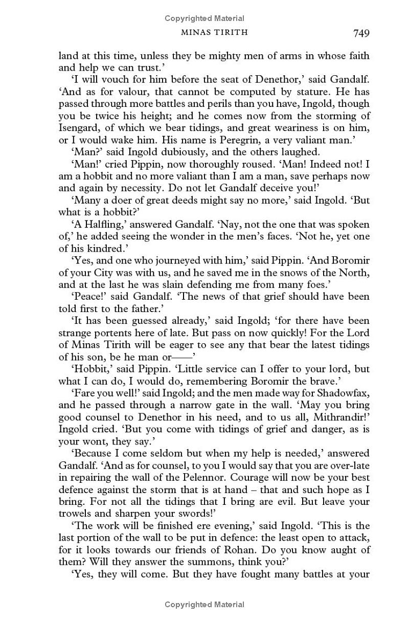 the lord of the rings: the return of the king - Ảnh 12