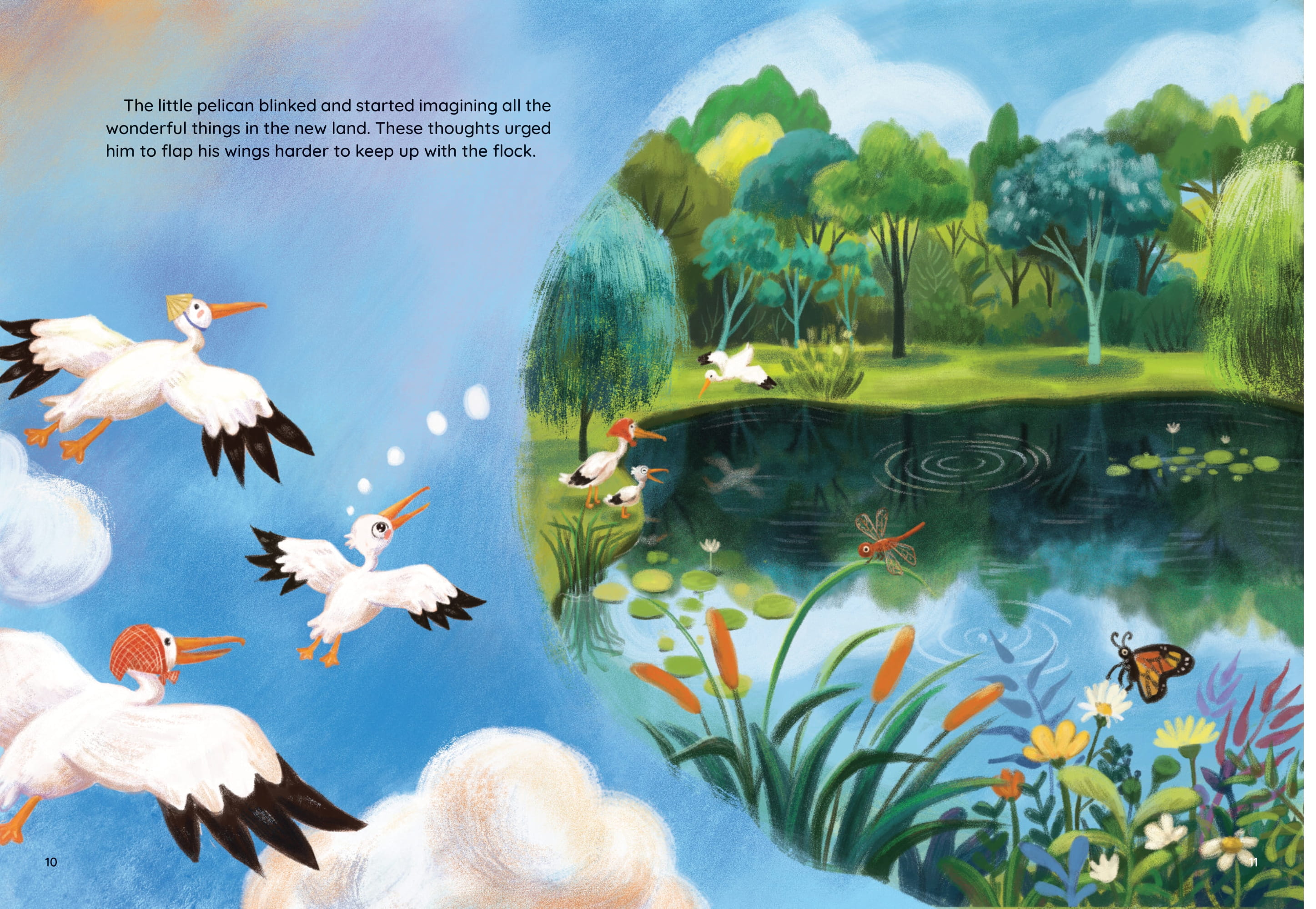 The Loving Little Pelican - Ảnh 6