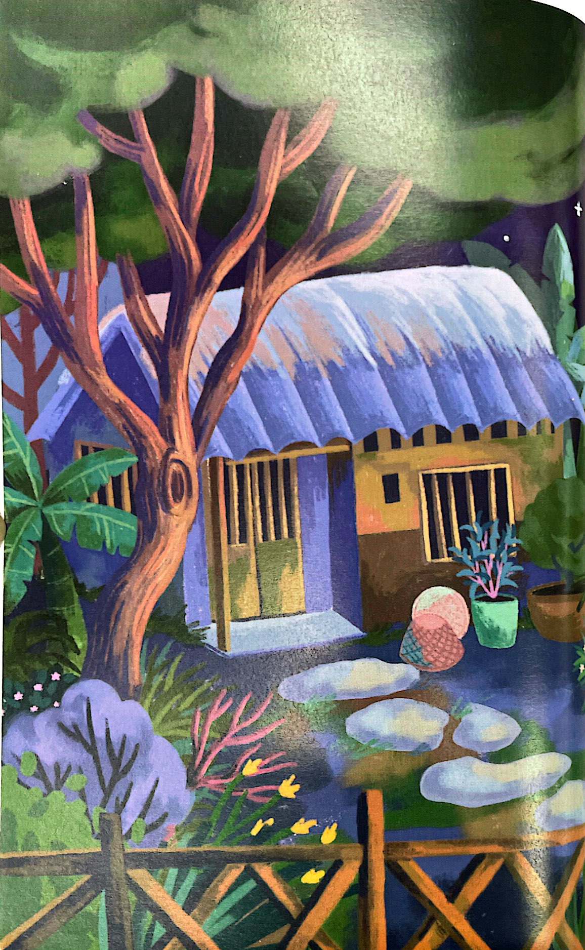 the magical seashell - Ảnh 6