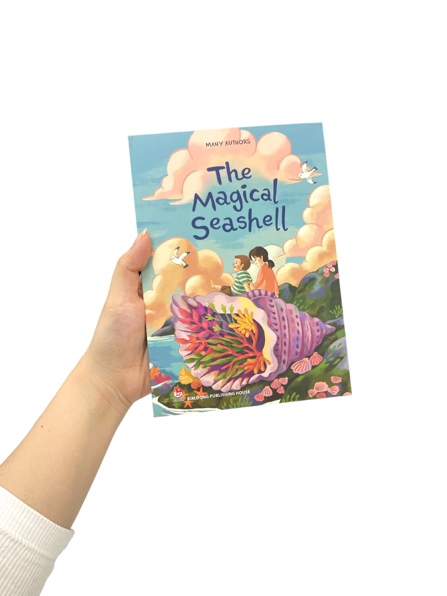 the magical seashell - Ảnh 9