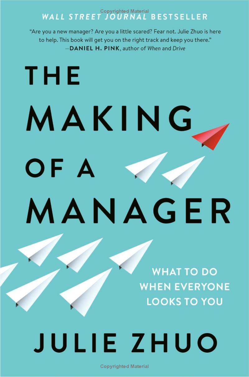the making of a manager - Ảnh 2