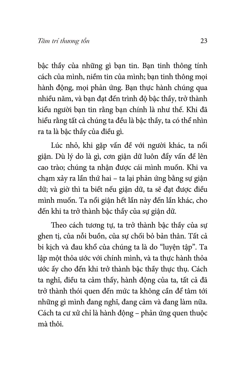 the mastery of love - những chỉ dẫn để làm chủ trái tim - Ảnh 14
