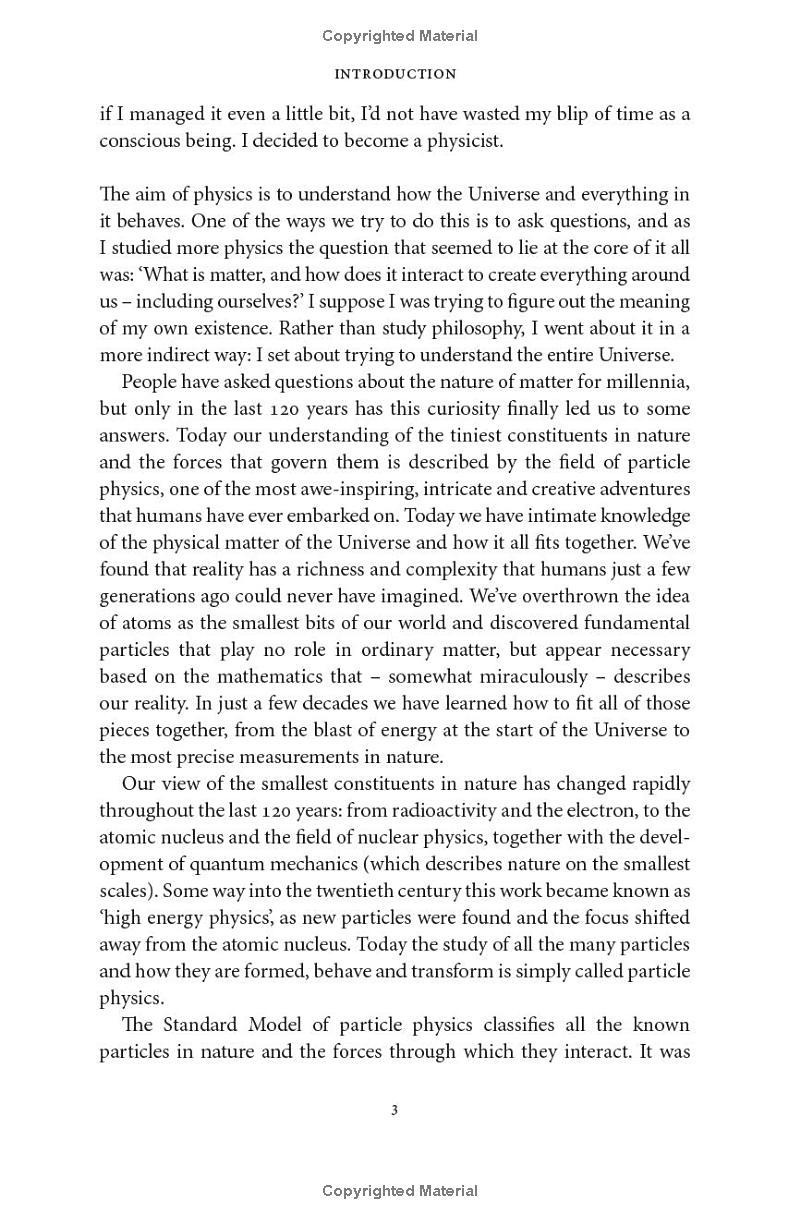 the matter of everything - Ảnh 6