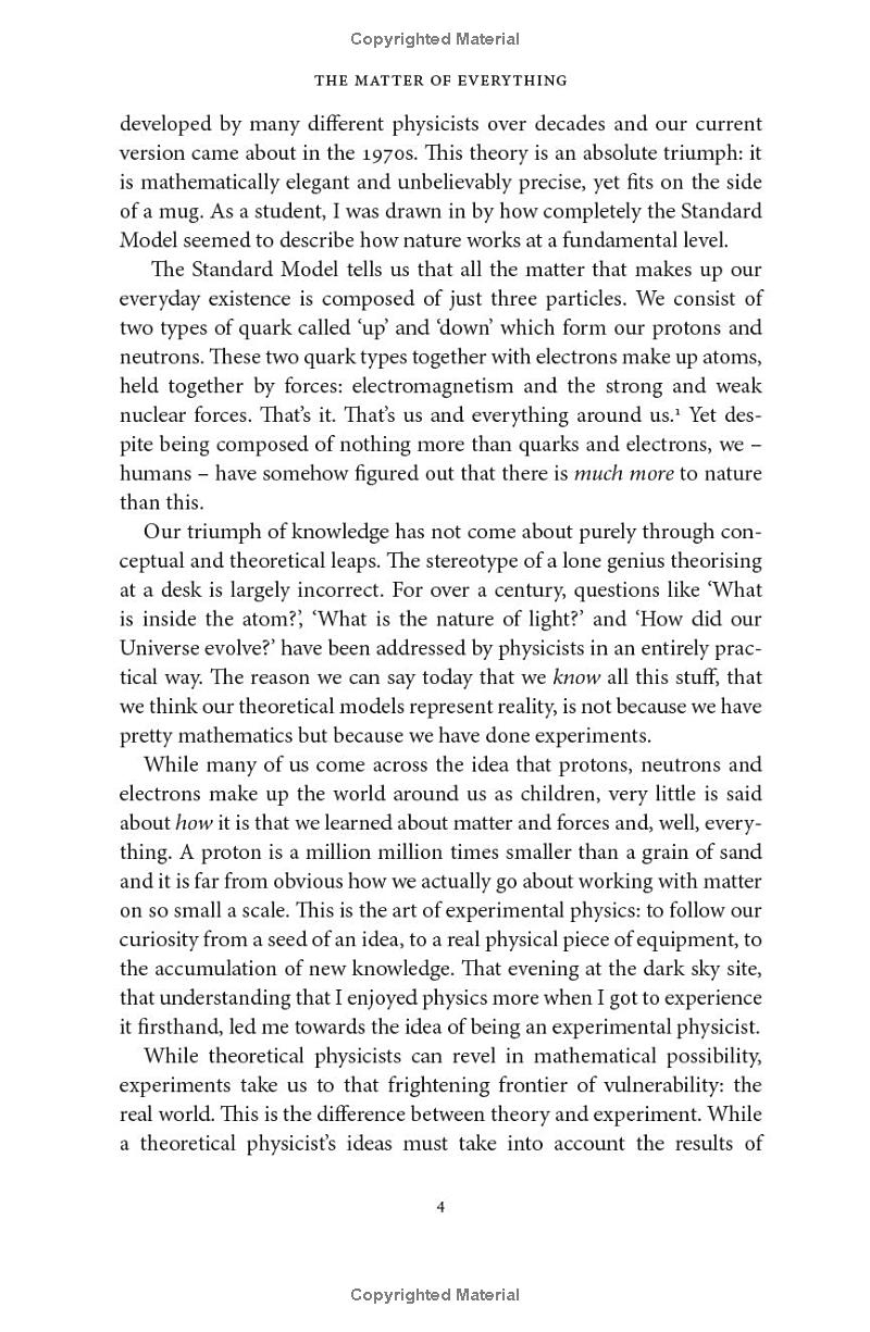 the matter of everything - Ảnh 7