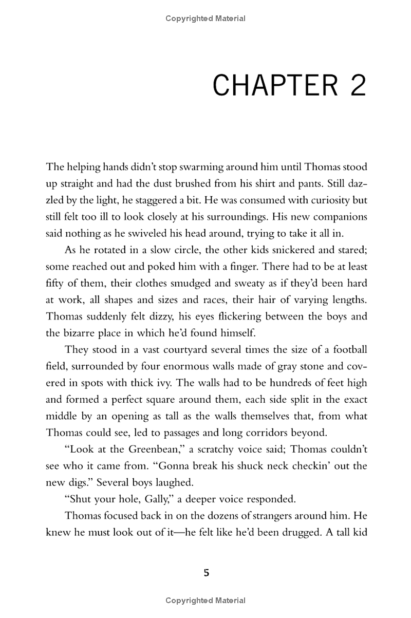 the maze runner - Ảnh 11