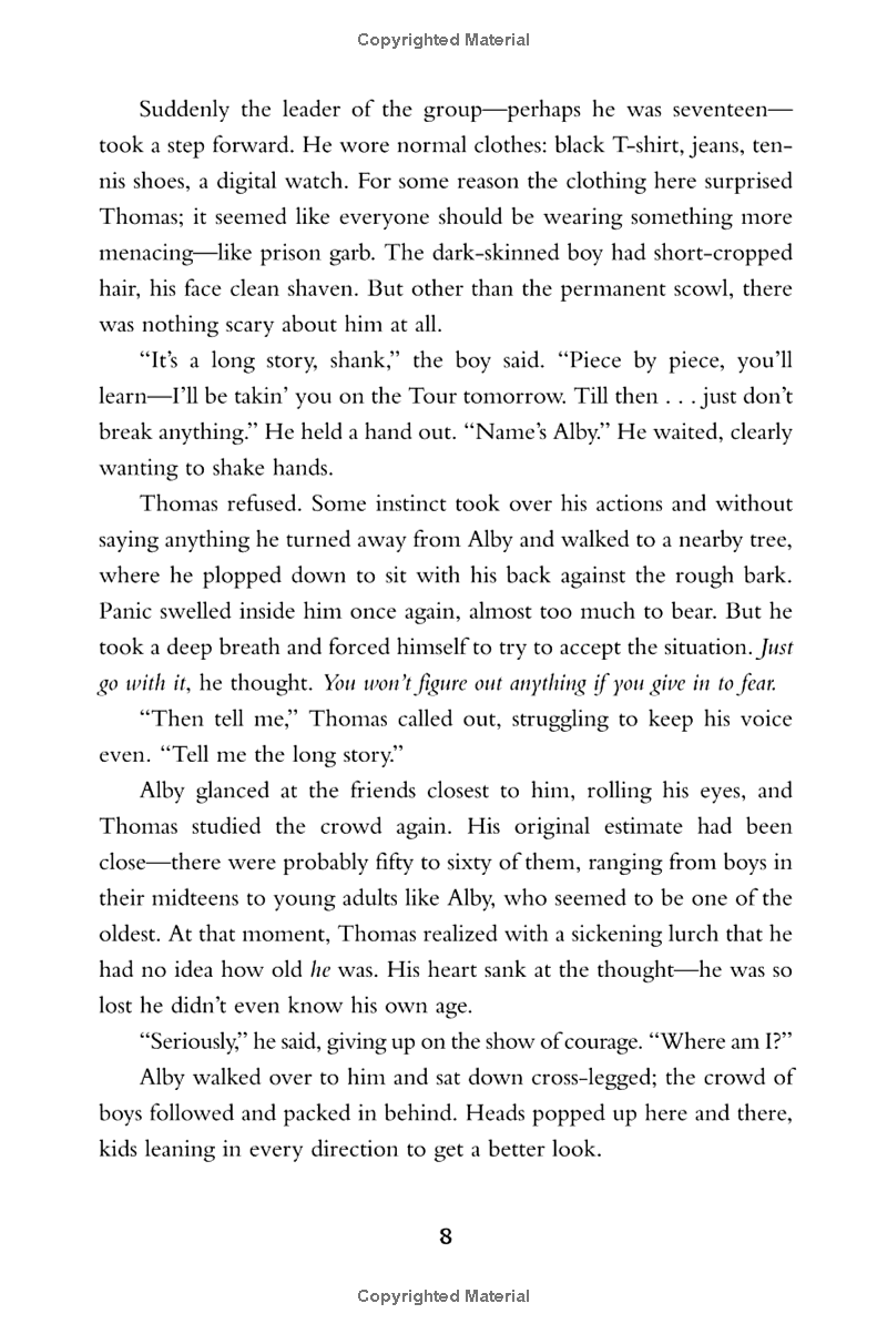 the maze runner - Ảnh 14