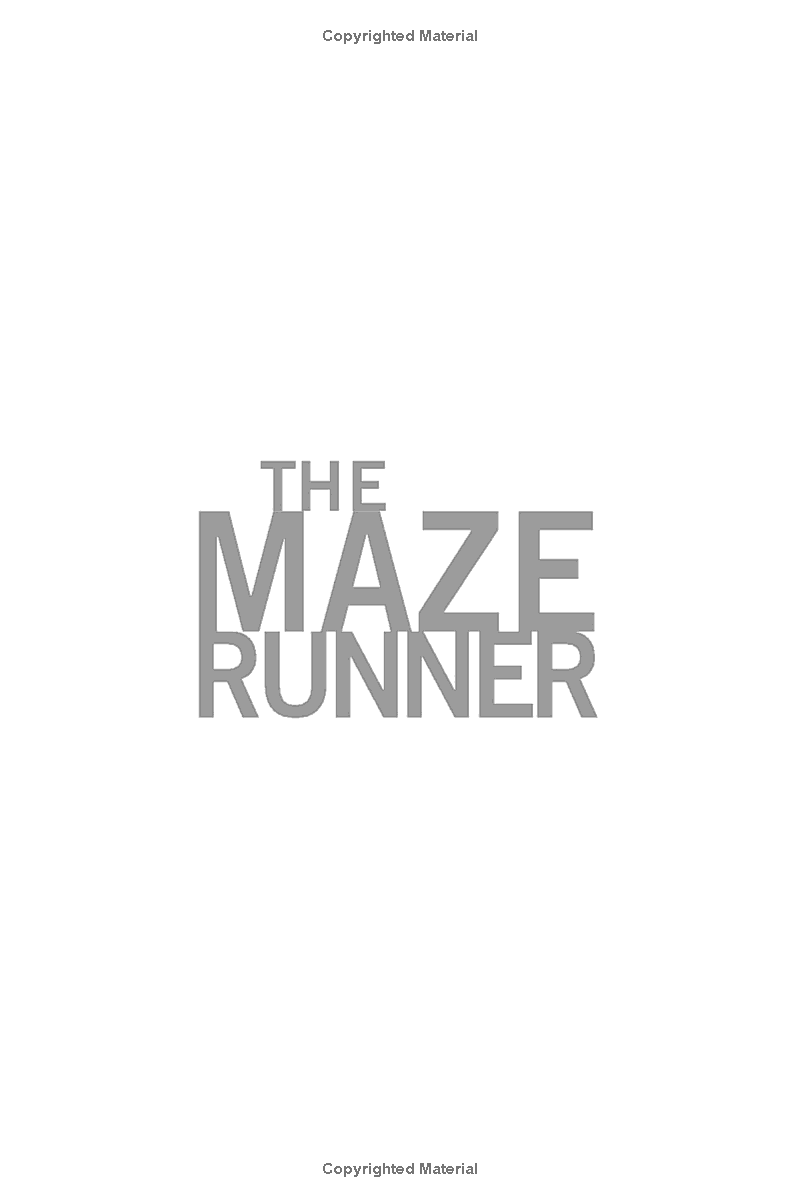 the maze runner - Ảnh 2