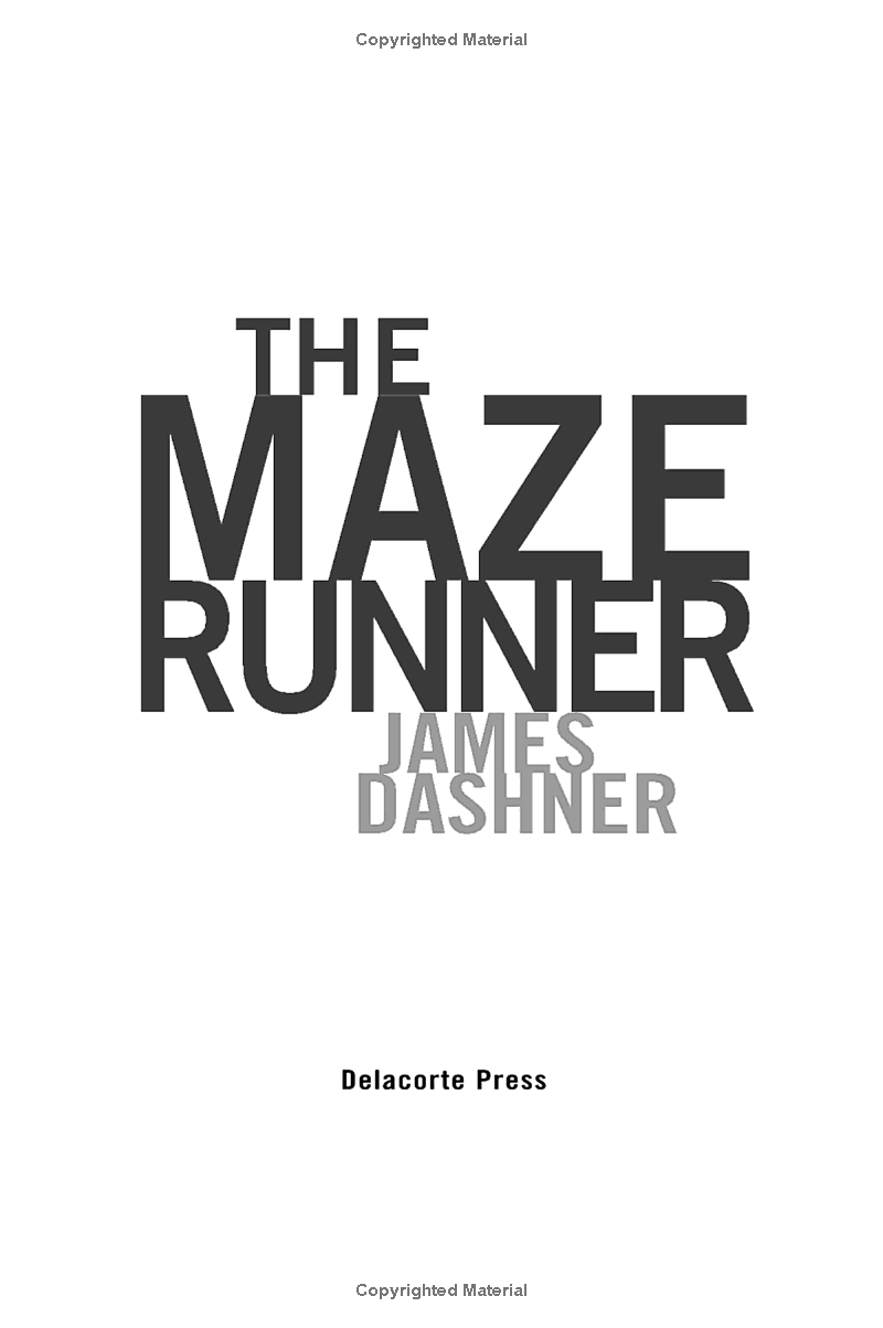the maze runner - Ảnh 4