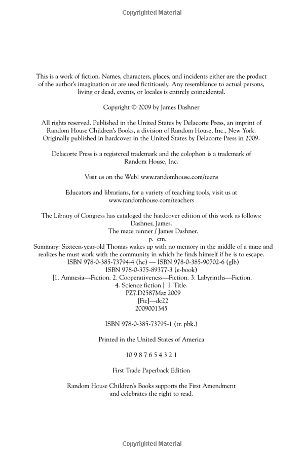 the maze runner - Ảnh 5