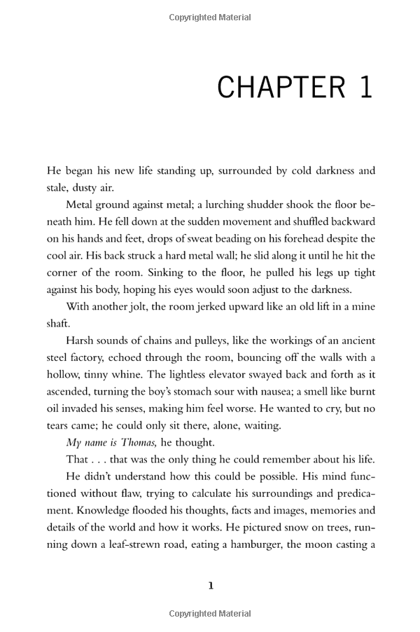 the maze runner - Ảnh 7