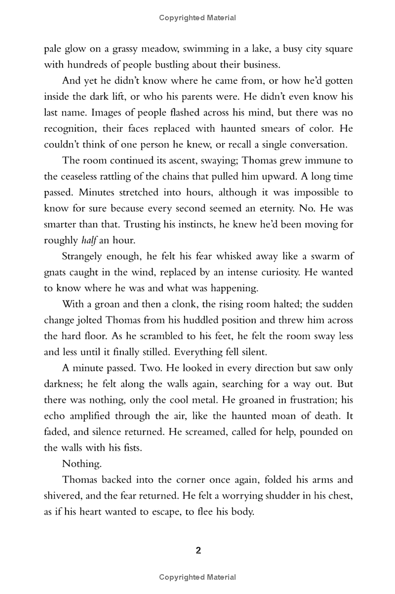 the maze runner - Ảnh 8