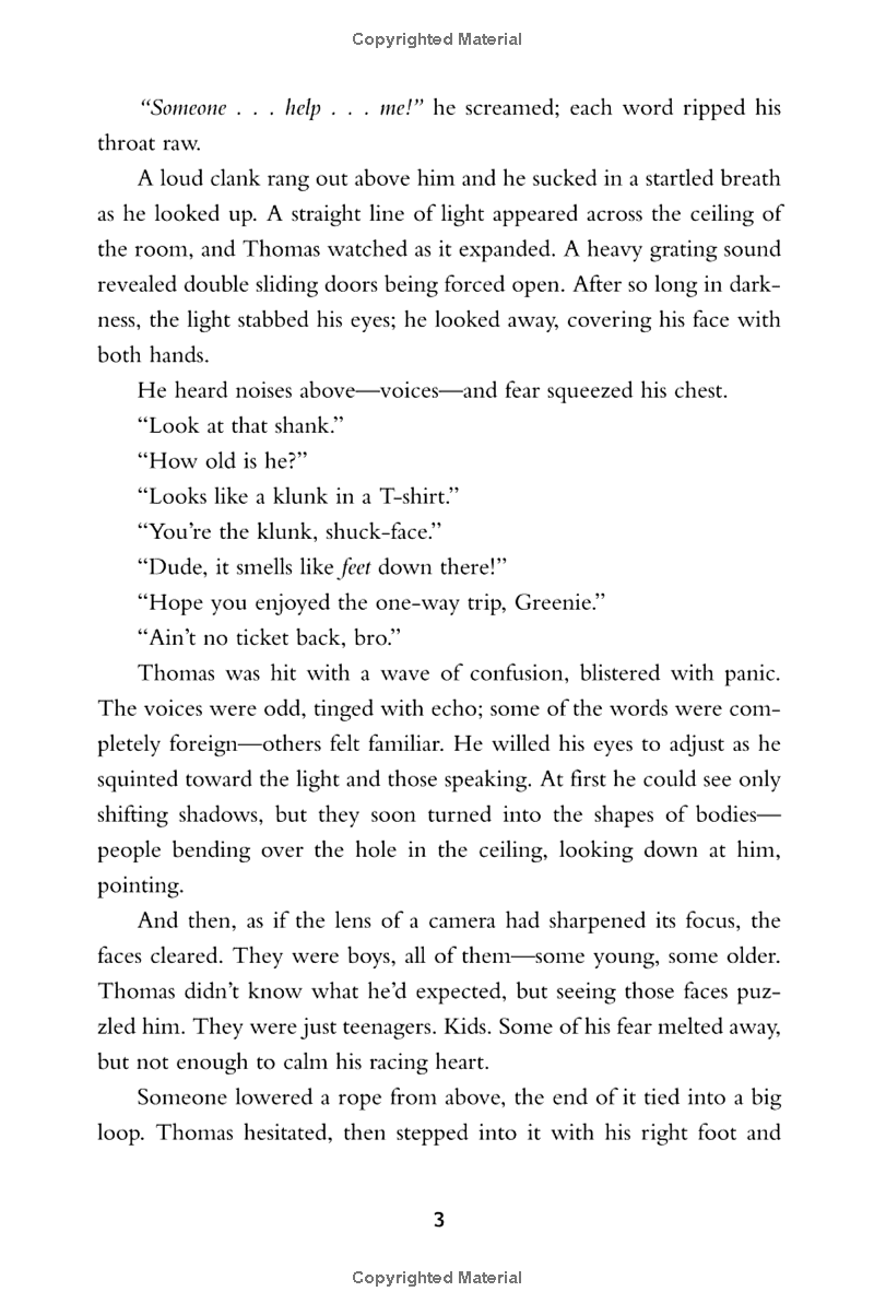 the maze runner - Ảnh 9