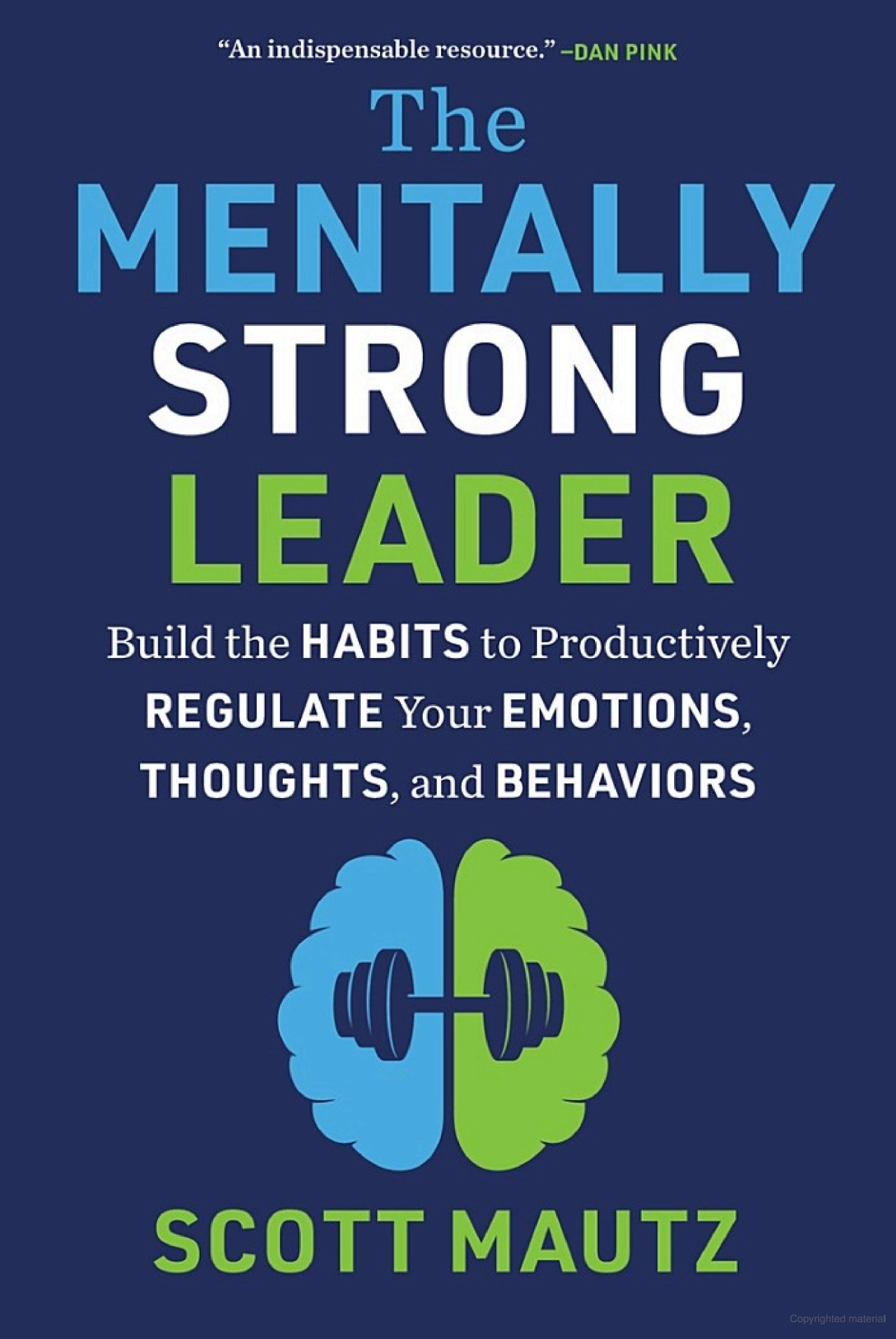 the mentally strong leader - Ảnh 2
