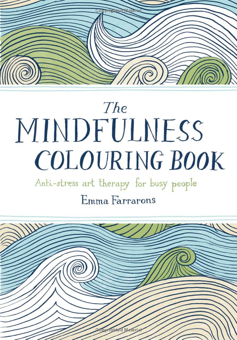 The Mindfulness Colouring Book : Anti-Stress Art Therapy for Busy People - Ảnh 2