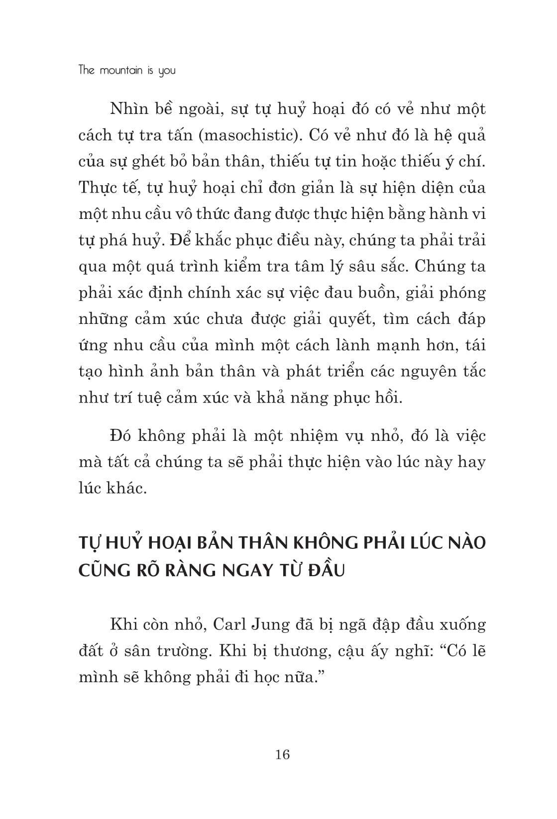 the mountain is you: nếu không giải quyết vấn đề, bạn sẽ trở thành vấn đề - Ảnh 16