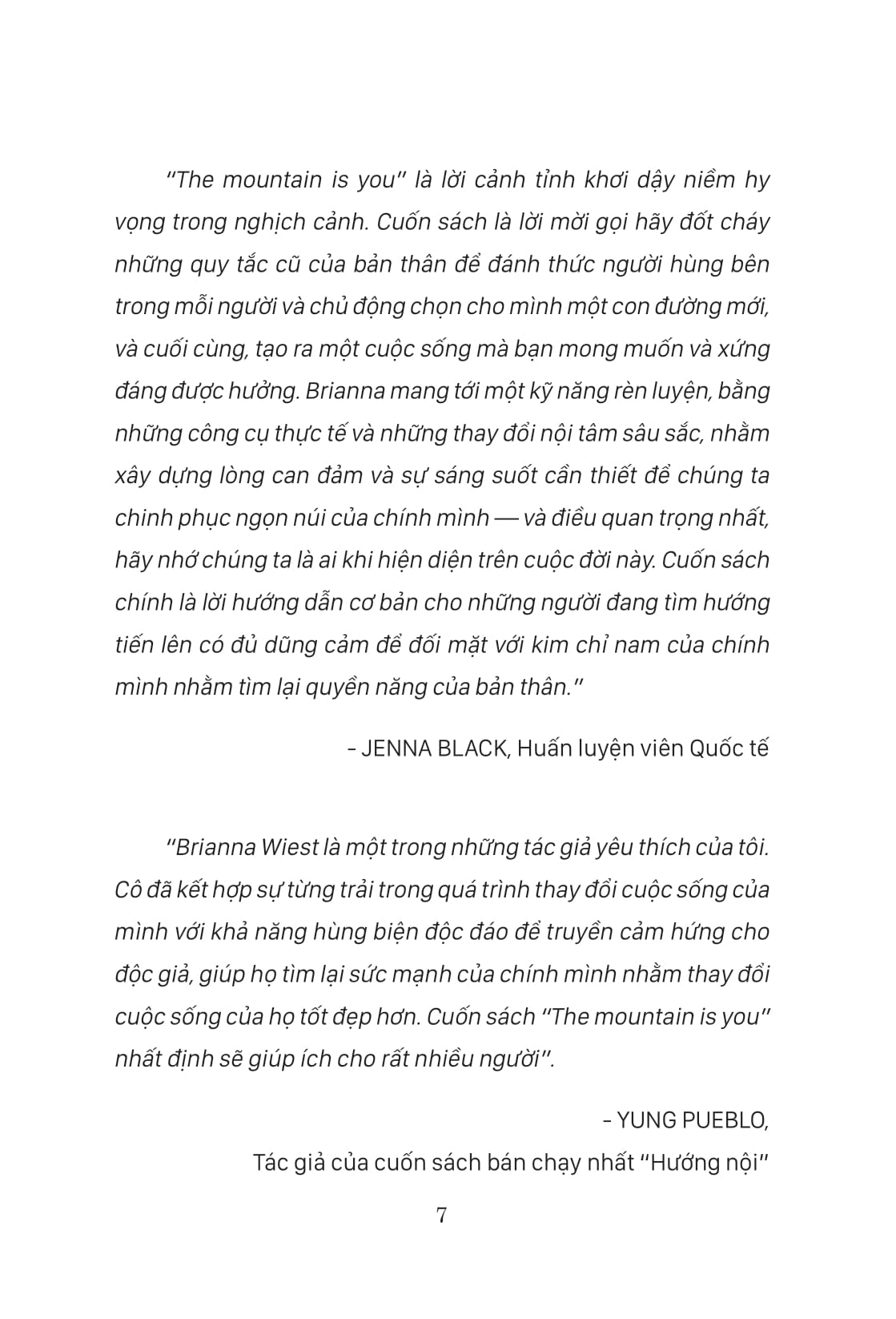 the mountain is you: nếu không giải quyết vấn đề, bạn sẽ trở thành vấn đề - Ảnh 7