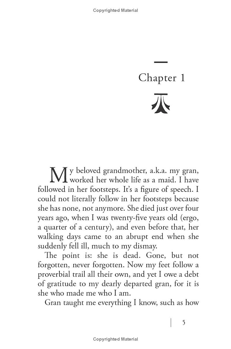 the mystery guest - Ảnh 4