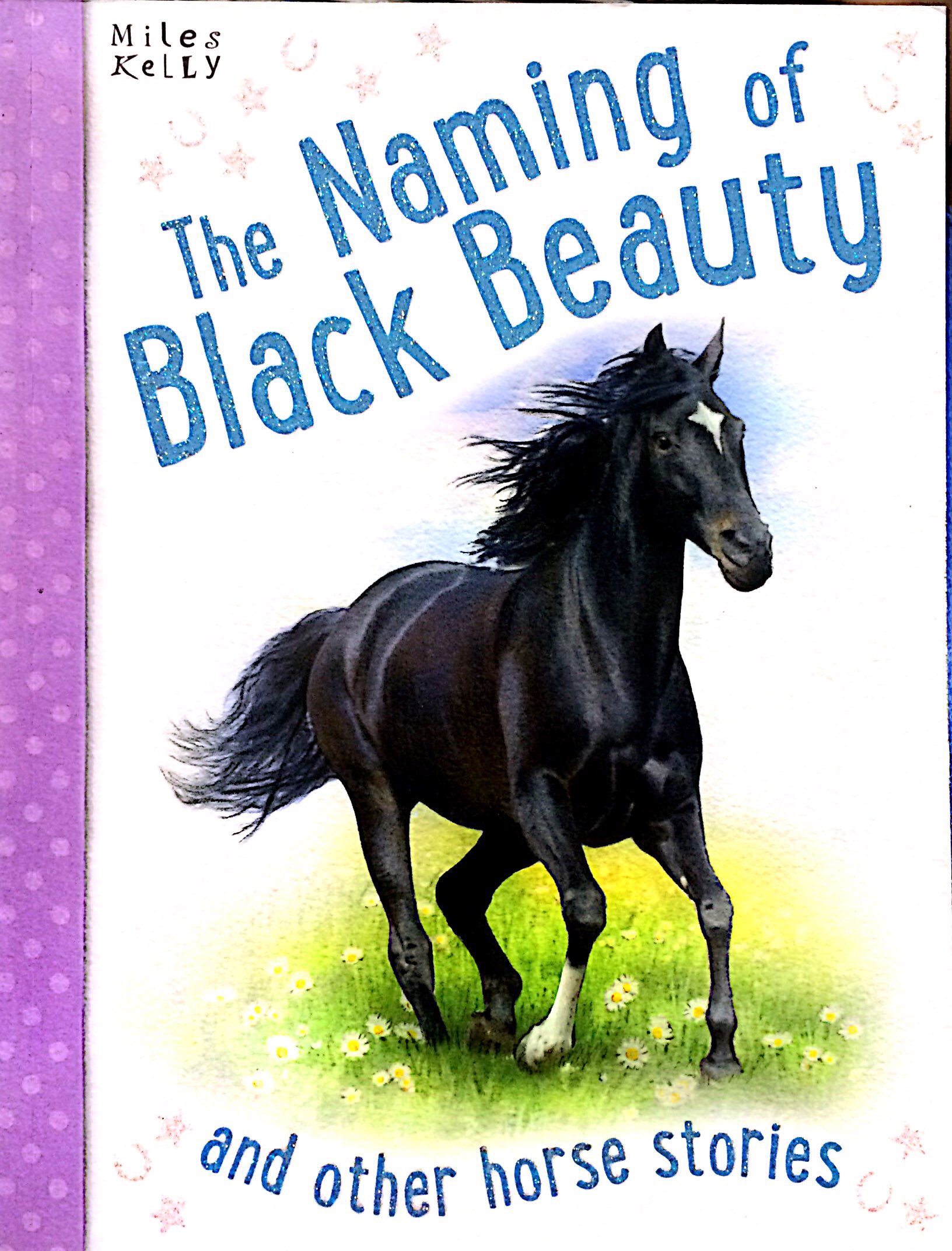 the naming of black beauty - Ảnh 2