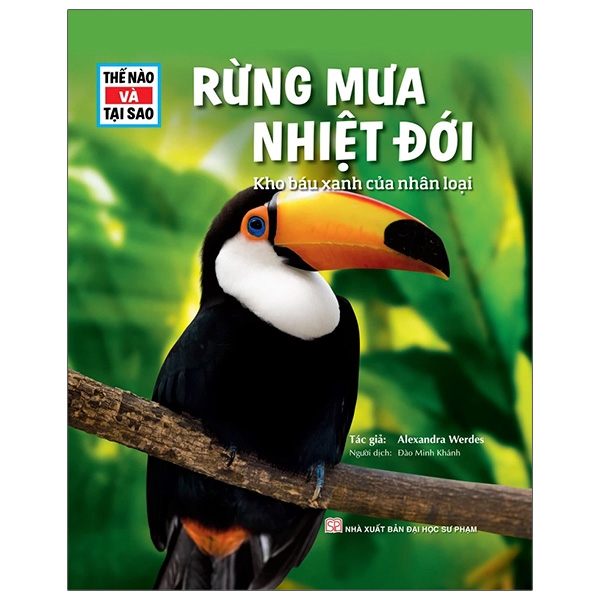 Thế Nào Và Tại Sao - Bảy Kì Quan Thế Giới - Những Kho Báu Của Thế Giới Cổ Đại - Ảnh 10