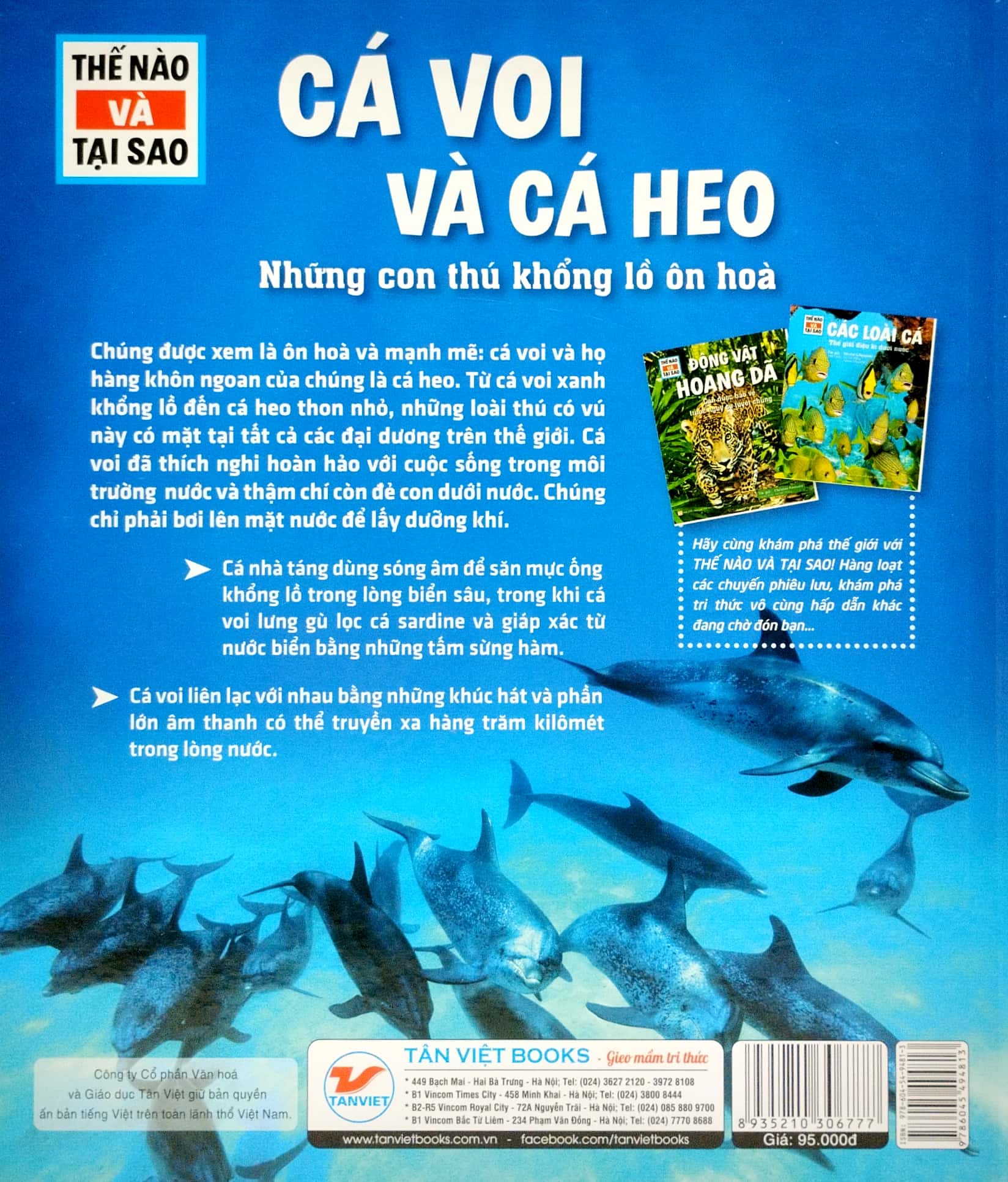 thế nào và tại sao - cá voi và cá heo - những con thú khổng lồ ôn hòa - bìa cứng (tái bản 2023) - Ảnh 4